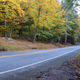 Illustration for article titled Fall Photos 2